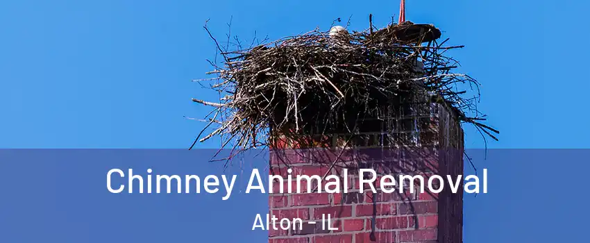  Chimney Animal Removal Alton - IL