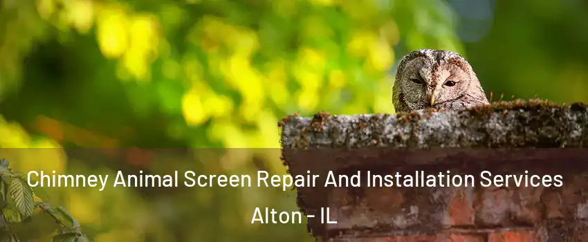  Chimney Animal Screen Repair And Installation Services Alton - IL