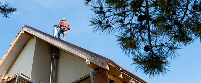 Birds Removal Contractors from Chimney in Alton, IL