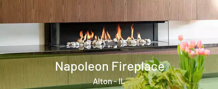  Napoleon Fireplace Alton - IL